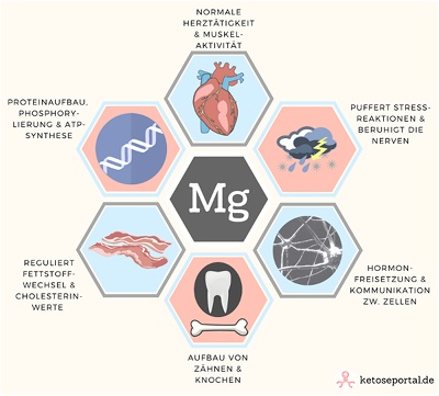 Magnesium Eigenschaften